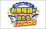 お魚福袋キャンペーン